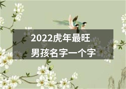 2022虎年最旺男孩名字一个字