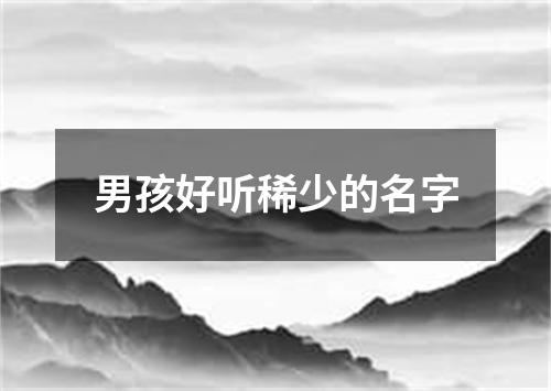 男孩好听稀少的名字