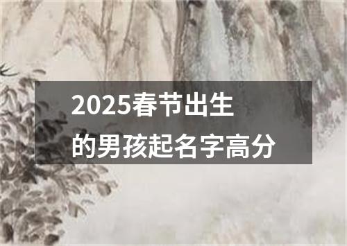 2025春节出生的男孩起名字高分