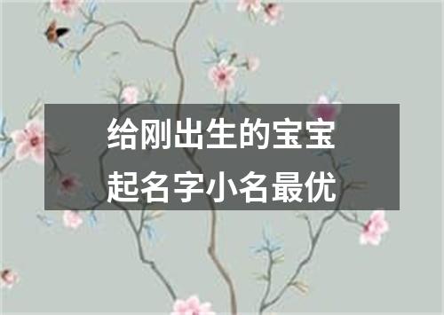 给刚出生的宝宝起名字小名最优