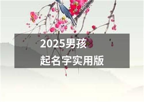 2025男孩起名字实用版