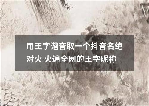 用王字谐音取一个抖音名绝对火 火遍全网的王字昵称