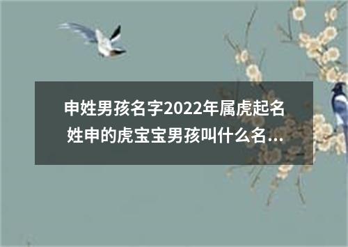 申姓男孩名字2022年属虎起名 姓申的虎宝宝男孩叫什么名字好