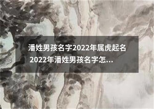 潘姓男孩名字2022年属虎起名 2022年潘姓男孩名字怎么起