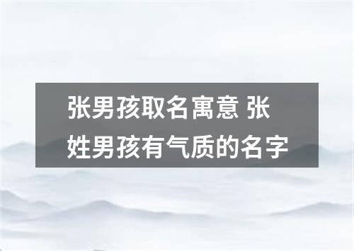 张男孩取名寓意 张姓男孩有气质的名字