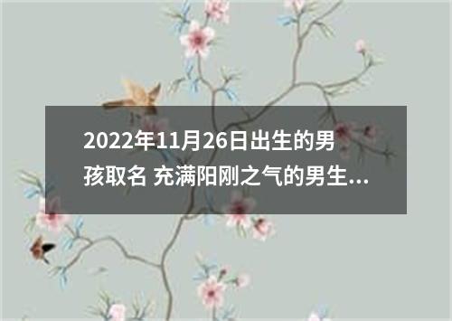 2022年11月26日出生的男孩取名 充满阳刚之气的男生名字