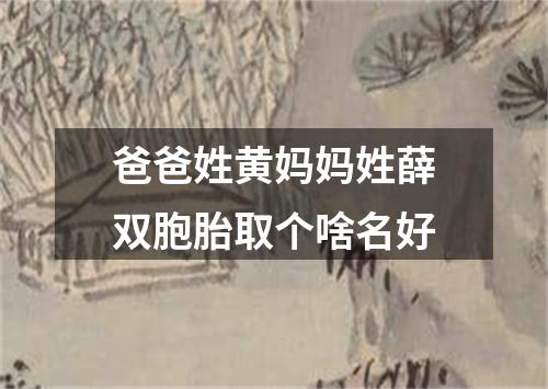 爸爸姓黄妈妈姓薛双胞胎取个啥名好