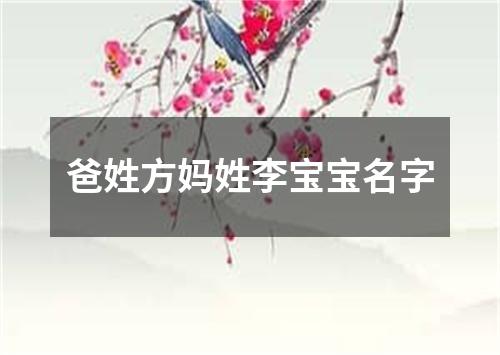 爸姓方妈姓李宝宝名字