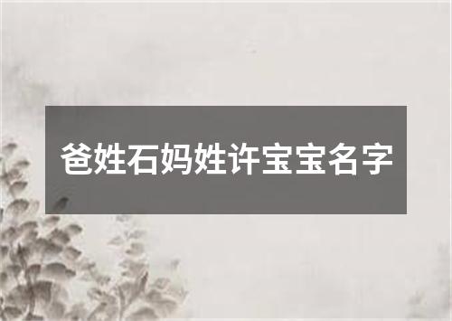 爸姓石妈姓许宝宝名字