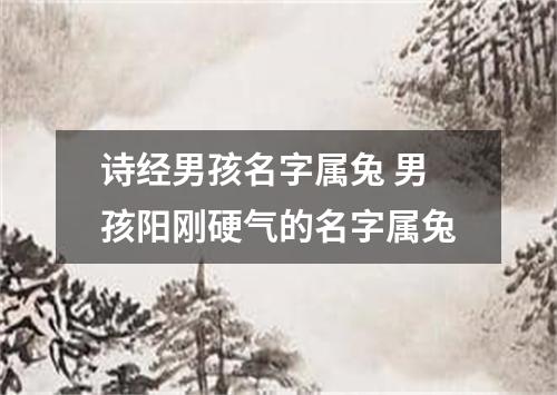 诗经男孩名字属兔 男孩阳刚硬气的名字属兔