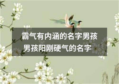 霸气有内涵的名字男孩 男孩阳刚硬气的名字