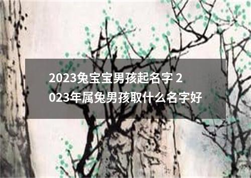 2023兔宝宝男孩起名字 2023年属兔男孩取什么名字好