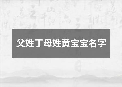 父姓丁母姓黄宝宝名字