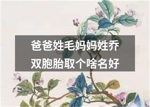 爸爸姓毛妈妈姓乔双胞胎取个啥名好