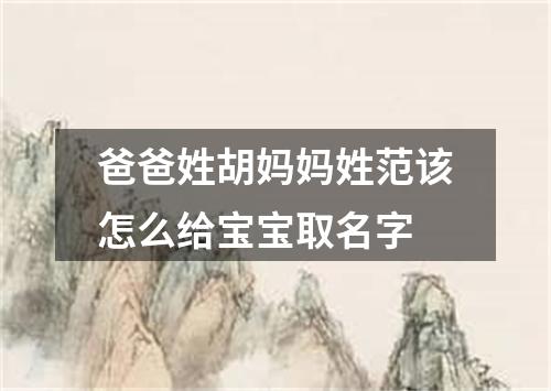 爸爸姓胡妈妈姓范该怎么给宝宝取名字