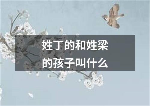 姓丁的和姓梁的孩子叫什么