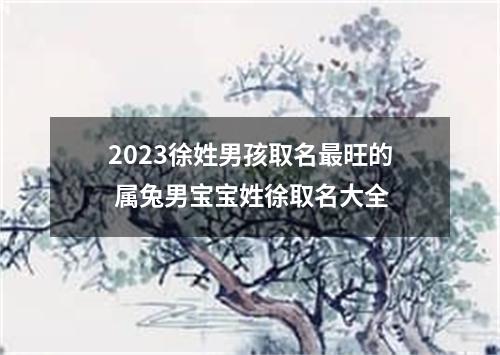 2023徐姓男孩取名最旺的 属兔男宝宝姓徐取名大全