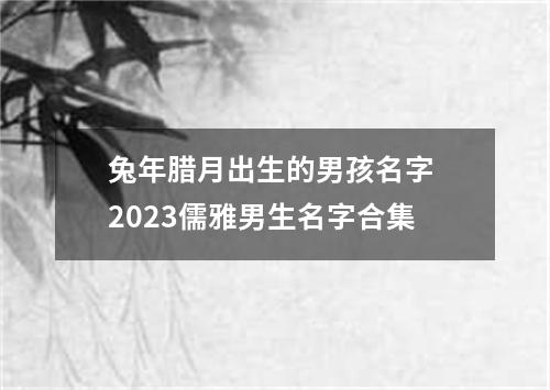 兔年腊月出生的男孩名字 2023儒雅男生名字合集