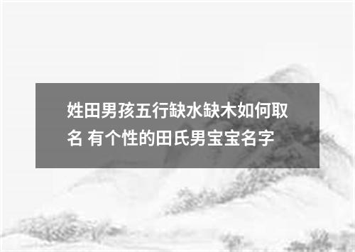 姓田男孩五行缺水缺木如何取名 有个性的田氏男宝宝名字