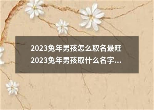 2023兔年男孩怎么取名最旺 2023兔年男孩取什么名字好