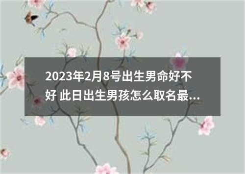 2023年2月8号出生男命好不好 此日出生男孩怎么取名最旺