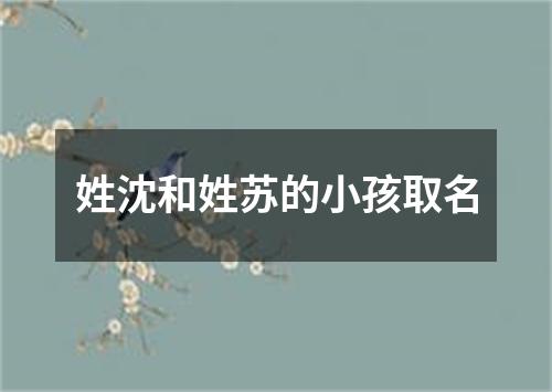 姓沈和姓苏的小孩取名