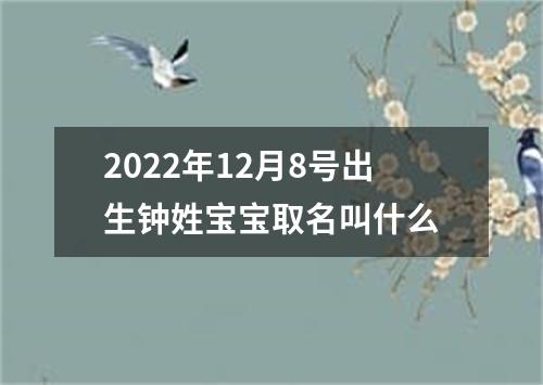 2022年12月8号出生钟姓宝宝取名叫什么
