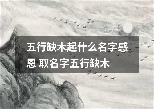 五行缺木起什么名字感恩 取名字五行缺木