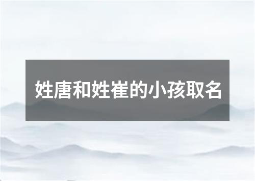 姓唐和姓崔的小孩取名