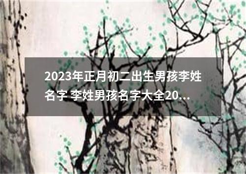 2023年正月初二出生男孩李姓名字 李姓男孩名字大全202
