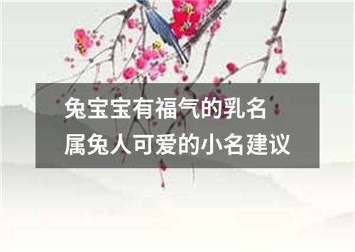 兔宝宝有福气的乳名 属兔人可爱的小名建议