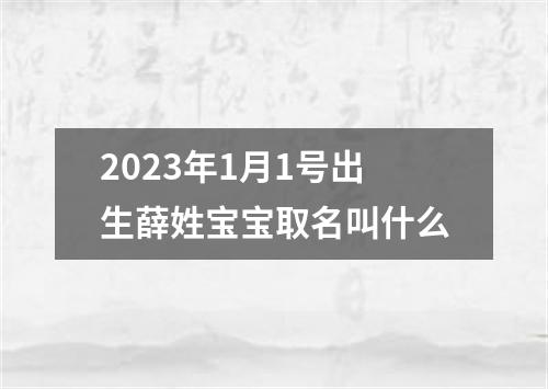 2023年1月1号出生薛姓宝宝取名叫什么