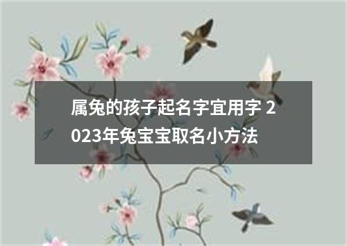 属兔的孩子起名字宜用字 2023年兔宝宝取名小方法