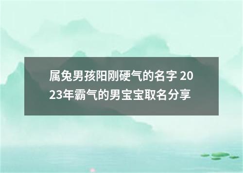 属兔男孩阳刚硬气的名字 2023年霸气的男宝宝取名分享