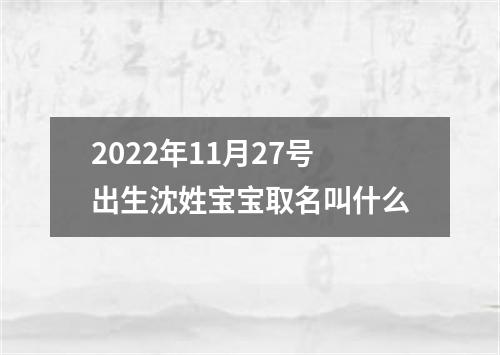 2022年11月27号出生沈姓宝宝取名叫什么