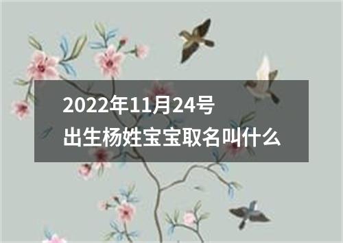 2022年11月24号出生杨姓宝宝取名叫什么