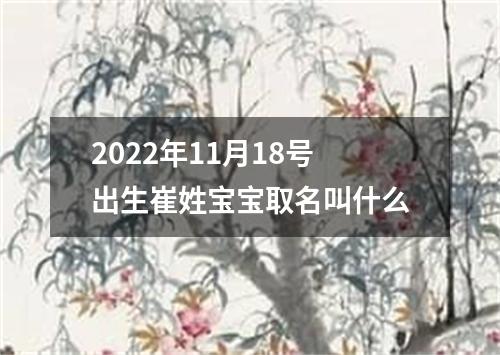 2022年11月18号出生崔姓宝宝取名叫什么