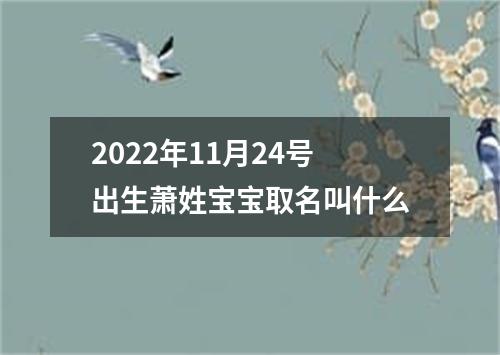 2022年11月24号出生萧姓宝宝取名叫什么