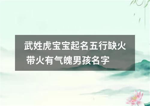 武姓虎宝宝起名五行缺火 带火有气魄男孩名字