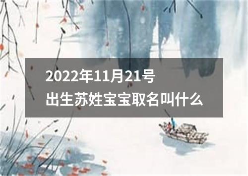 2022年11月21号出生苏姓宝宝取名叫什么