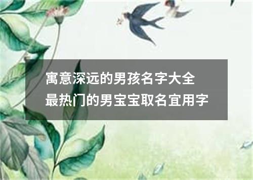 寓意深远的男孩名字大全 最热门的男宝宝取名宜用字