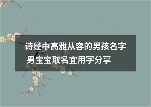 诗经中高雅从容的男孩名字 男宝宝取名宜用字分享