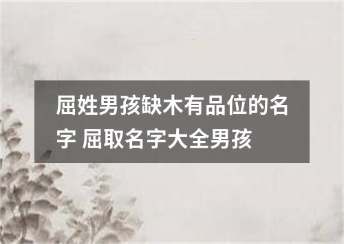 屈姓男孩缺木有品位的名字 屈取名字大全男孩