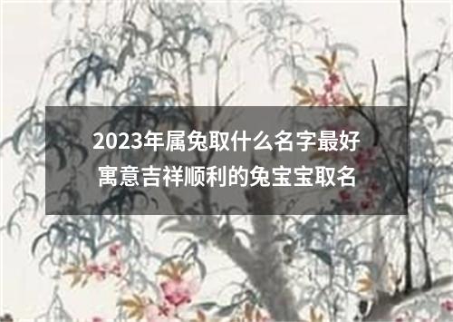2023年属兔取什么名字最好 寓意吉祥顺利的兔宝宝取名