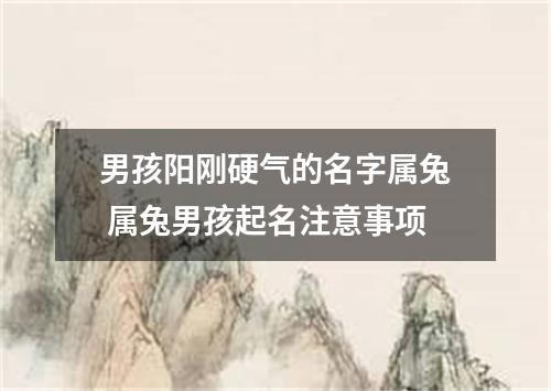 男孩阳刚硬气的名字属兔 属兔男孩起名注意事项