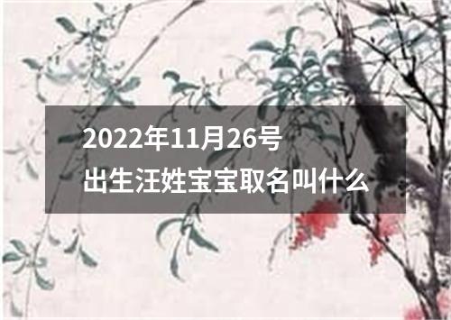 2022年11月26号出生汪姓宝宝取名叫什么