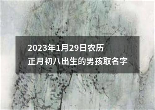 2023年1月29日农历正月初八出生的男孩取名字