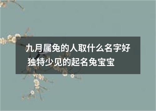 九月属兔的人取什么名字好 独特少见的起名兔宝宝