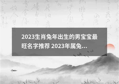 2023生肖兔年出生的男宝宝最旺名字推荐 2023年属兔宝宝取名