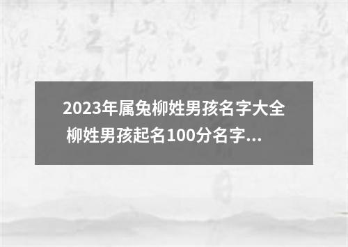 2023年属兔柳姓男孩名字大全 柳姓男孩起名100分名字最新版
